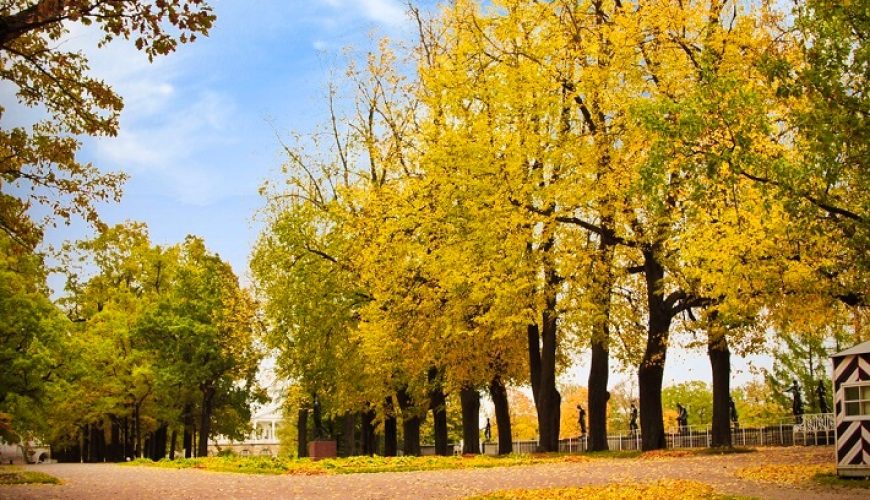 Du lịch khám phá mùa thu vàng nước Nga đầy mơ mộng