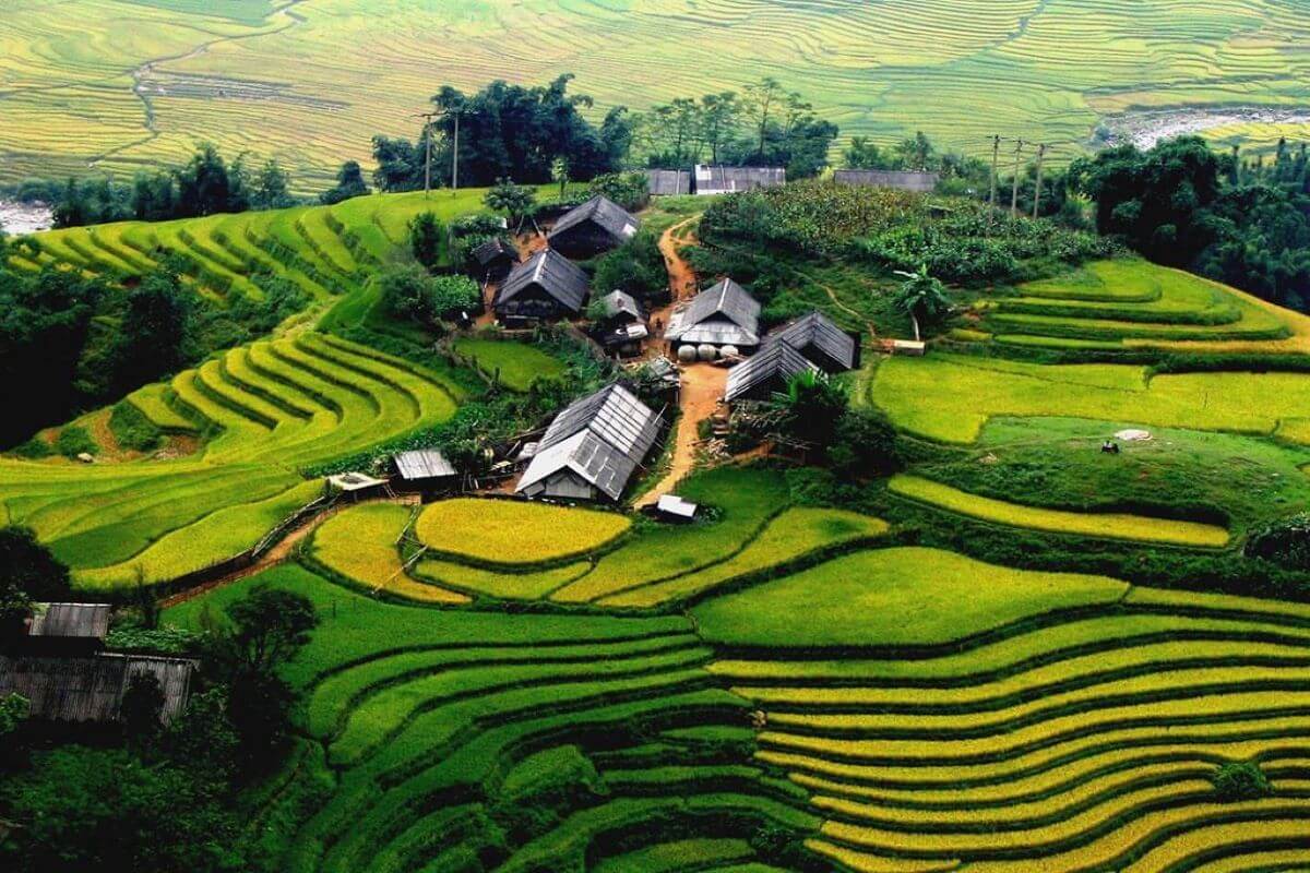 [Khám Phá Tây Bắc] Tổng hợp chi tiết kinh nghiệm du lịch Nghĩa Lộ