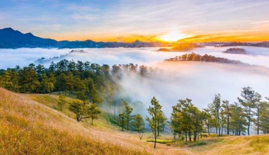 Rừng thông Yên Minh – điểm check-in sống ảo tại Hà Giang nhất định không thể bỏ qua