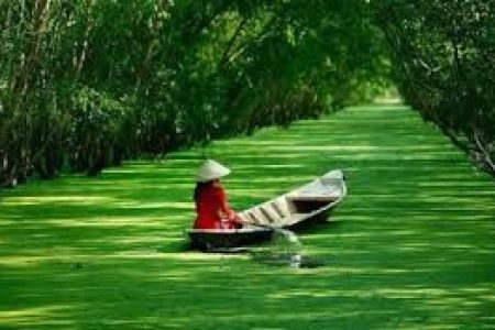 TOUR: CẦN THƠ – SÓC TRĂNG – CÔN ĐẢO (Quý 3/2026)
