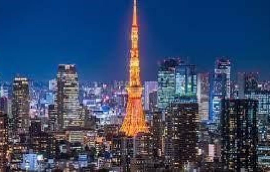 NGẮM HOA ANH ĐÀO NHẬT BẢN 2027: TOKYO – NÚI PHÚ SĨ – NAGOYA – KYOTO – OSAKA (VNA)