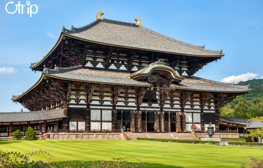 NGẮM HOA ANH ĐÀO NHẬT BẢN 2027: TOKYO – NÚI PHÚ SĨ – NAGOYA – KYOTO – OSAKA (VNA)