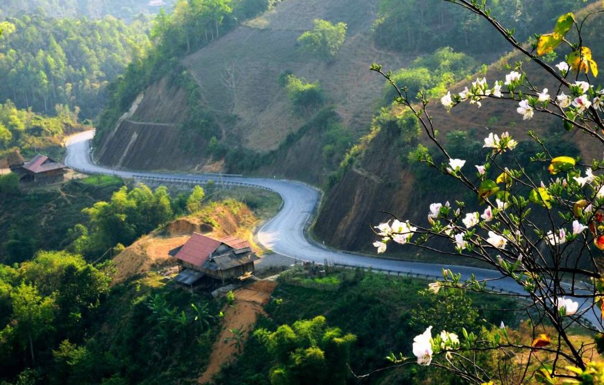 SƠN LA – ĐIỆN BIÊN – MỘC CHÂU