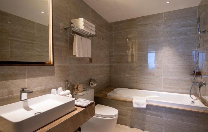 RADISSON HOTEL DA NANG: Deluxe Twin Room
