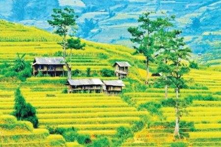 Yên Bái: Nghĩa Lộ – Trạm Tấu – Tú Lệ – Mù Cang Chải