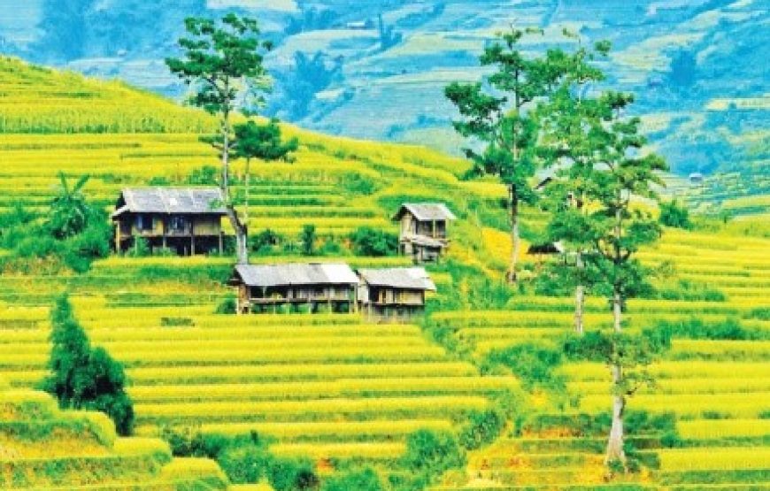 Yên Bái: Nghĩa Lộ – Trạm Tấu – Tú Lệ – Mù Cang Chải