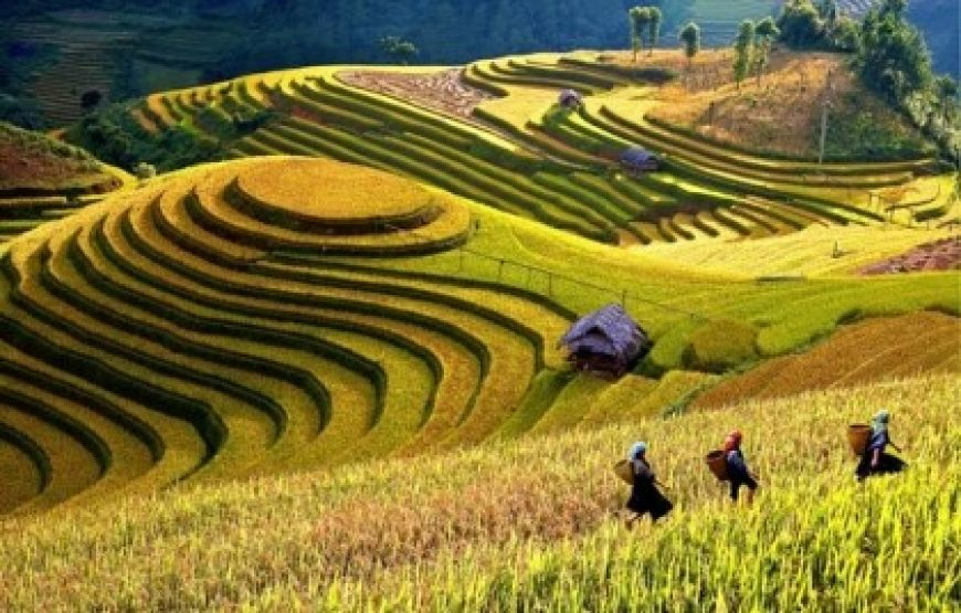 Yên Bái: Nghĩa Lộ – Trạm Tấu – Tú Lệ – Mù Cang Chải