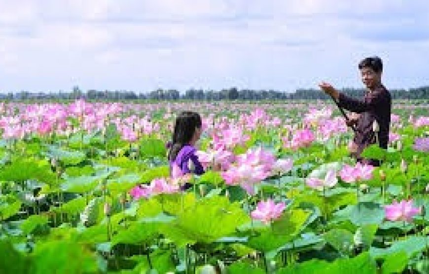 CẦN THƠ – CAO LÃNH – CHÂU ĐỐC – AN GIANG – CẦN THƠ