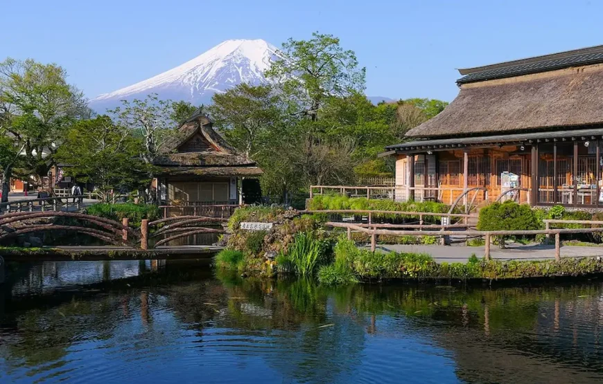 NGẮM HOA ANH ĐÀO NHẬT BẢN 2027: TOKYO – NÚI PHÚ SĨ – NAGOYA – KYOTO – OSAKA (VNA)