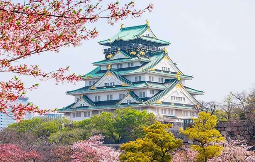 Du lịch Nhật Bản 2027 mua hoa anh đào: OSAKA – NARA – NÚI PHÚ SĨ – TOKYO(KIX-HND)