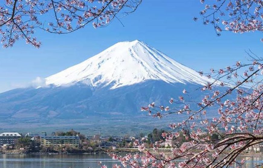 Du lịch Nhật Bản 2027 mua hoa anh đào: OSAKA – NARA – NÚI PHÚ SĨ – TOKYO(KIX-HND)