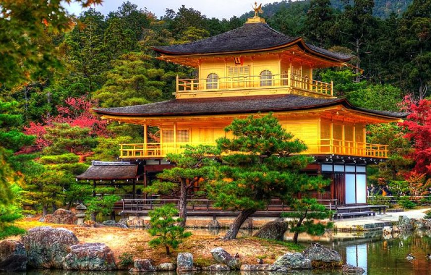 Du lịch Nhật Bản 2027 mua hoa anh đào: OSAKA – NARA – NÚI PHÚ SĨ – TOKYO(KIX-HND)