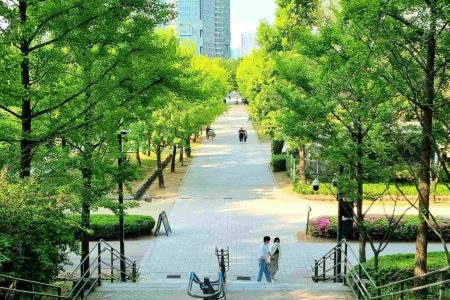 SEOUL – NAMI – KOREAN FOLK VILLAGE THƯ VIỆN STARFIELD – DU THUYỀN SÔNG HÀN (5N4Đ SPA)