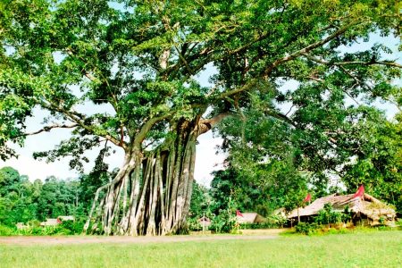 NA HANG – LÂM BÌNH – KHU DI TÍCH ATK TÂN TRÀO