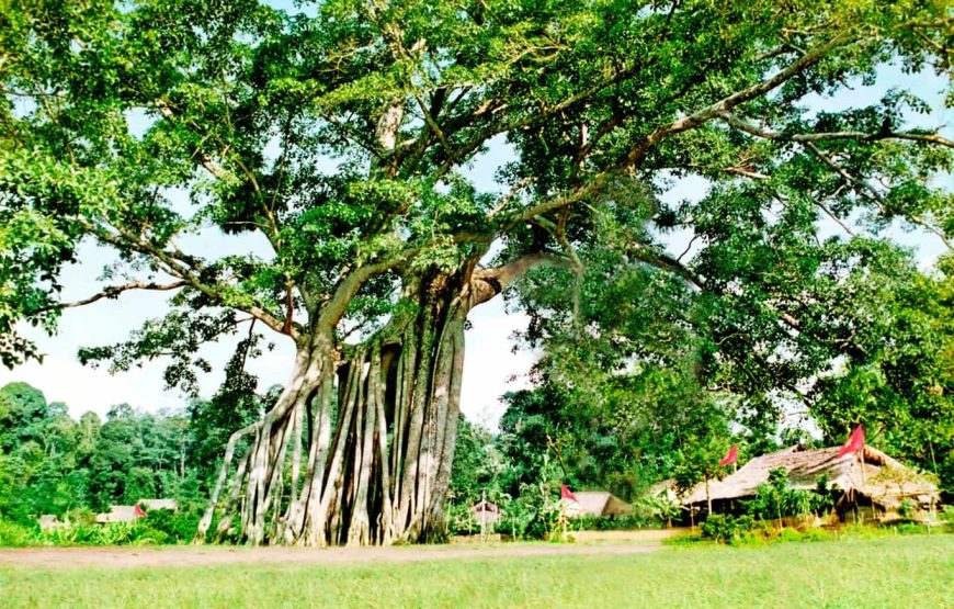 NA HANG – LÂM BÌNH – KHU DI TÍCH ATK TÂN TRÀO