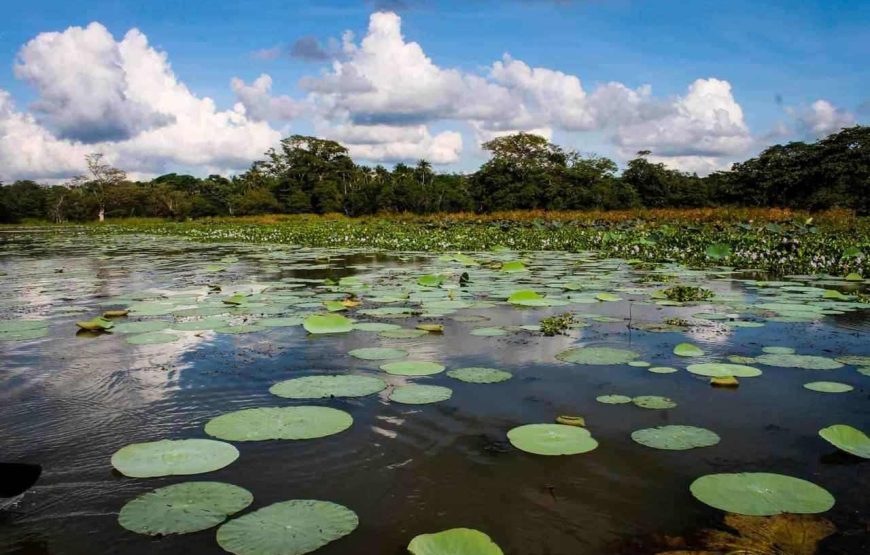 SRI LANKA – ĐẢO QUỐC NGỌC ẤN ĐỘ DƯƠNG (6N5Đ)