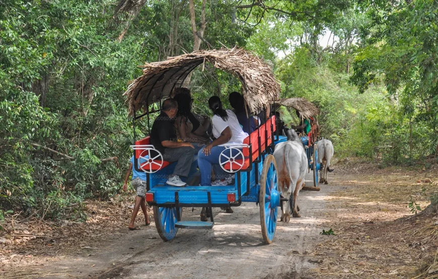 SRI LANKA – ĐẢO QUỐC NGỌC ẤN ĐỘ DƯƠNG (6N5Đ)