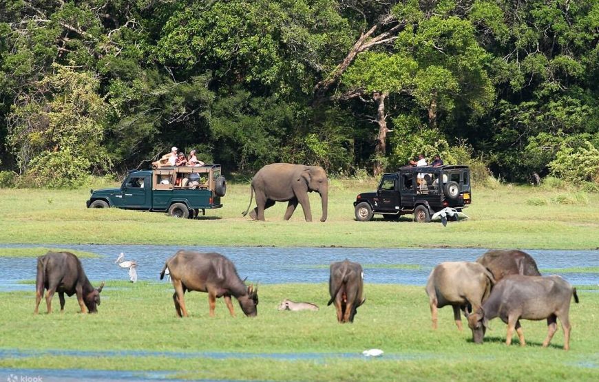 SRI LANKA – ĐẢO QUỐC NGỌC ẤN ĐỘ DƯƠNG (6N5Đ)