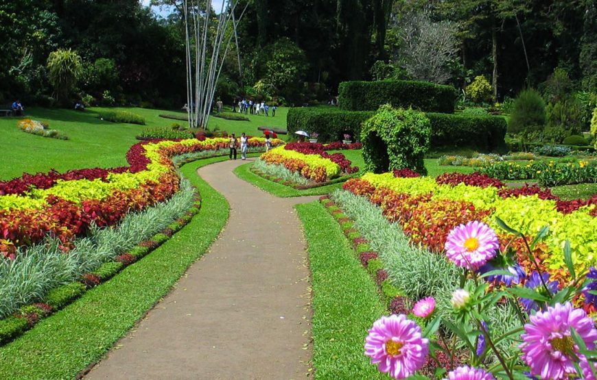 SRI LANKA – ĐẢO QUỐC NGỌC ẤN ĐỘ DƯƠNG (6N5Đ)