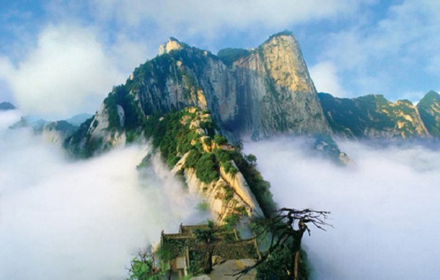 TẾ NAM – THÁI AN – THANH ĐẢO